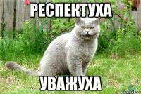 респектуха уважуха