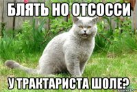 Блять но отсосси У трактариста шоле?