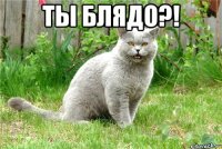 ты блядо?! 