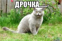 Дрочка...... 