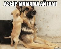 Азыр мамама айтам! 