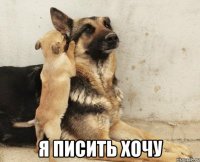 я писить хочу