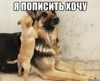 я пописить хочу 