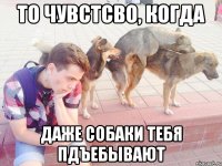то чувстсво, когда даже собаки тебя пдъебывают