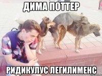Дима Поттер Pидикулус легилименс