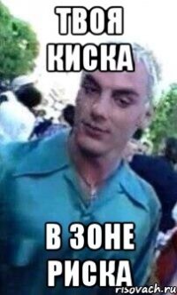 ТВОЯ КИСКА В ЗОНЕ РИСКА