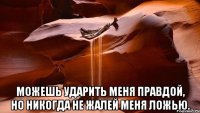  Можешь ударить меня правдой, но никогда не жалей меня ложью.