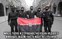  Мясо. Тупое и страшное, но очень недолго живущее.Ждем. Пусть идут. И.Стрелков
