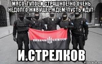 Мясо. Тупое и страшное, но очень недолго живущее.Ждем. Пусть идут. И.Стрелков