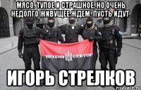 Мясо. Тупое и страшное, но очень недолго живущее.Ждем. Пусть идут. Игорь Стрелков