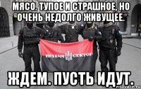 Мясо. Тупое и страшное, но очень недолго живущее. Ждем. Пусть идут.