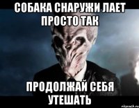 собака снаружи лает просто так продолжай себя утешать