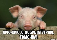  Хрю-хрю. С добрым утром, Томочка!