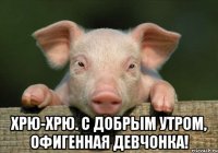  Хрю-хрю. С добрым утром, офигенная девчонка!