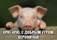  Хрю-хрю. С добрым утром, Вероничка!
