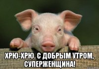  Хрю-хрю. С добрым утром, суперженщина!