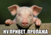  Ну привет, пропажа