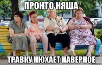 Пронто няша Травку нюхает наверное