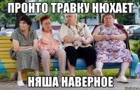 Пронто травку нюхает Няша наверное