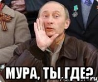  Мура, ты где?