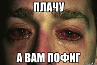 плачу а вам пофиг