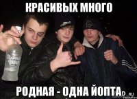 Красивых много родная - одна йопта