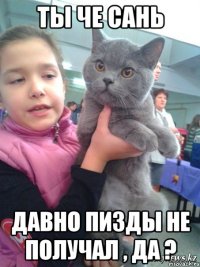 ТЫ ЧЕ САНЬ ДАВНО ПИЗДЫ НЕ ПОЛУЧАЛ , ДА ?