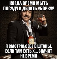 Когда время мыть посуду и делать уборку? Я смотрю себе в штаны. Если там есть х..., значит не время