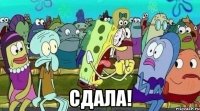  сдала!