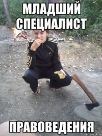 Младший специалист Правоведения