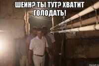 Шеин? Ты тут? Хватит голодать! 