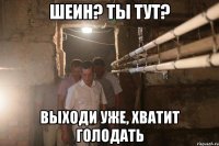 Шеин? Ты тут? выходи уже, хватит голодать