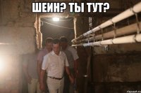 Шеин? Ты тут? 