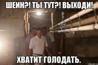 Шеин?! Ты тут?! выходи! хватит голодать.