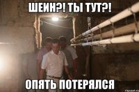 Шеин?! Ты тут?! опять потерялся