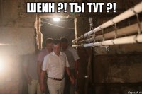 Шеин ?! Ты тут ?! 