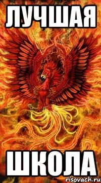 Лучшая Школа