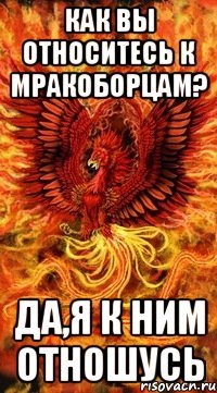как вы относитесь к мракоборцам? да,я к ним отношусь