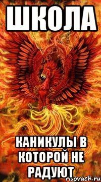 школа каникулы в которой не радуют