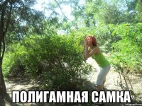  ПОЛИГАМНАЯ САМКА