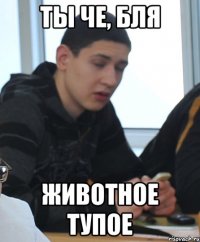 Ты че, бля Животное тупое