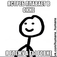 ястреб плавает в окне я глежу а ты говне