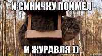 и синичку поимел и журавля ))