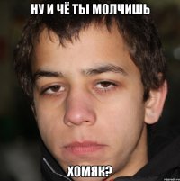 Ну и чё ты молчишь хомяк?