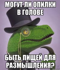 могут ли опилки в голове быть пищей для размышления?