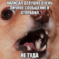 написал девушке очень личное сообщение и отправил не туда