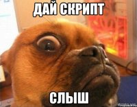 дай скрипт слыш