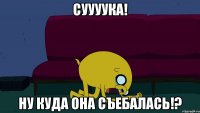 Суууука! Ну куда она съебалась!?