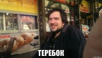  Теребок