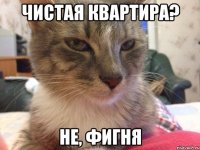 Чистая квартира? Не, фигня